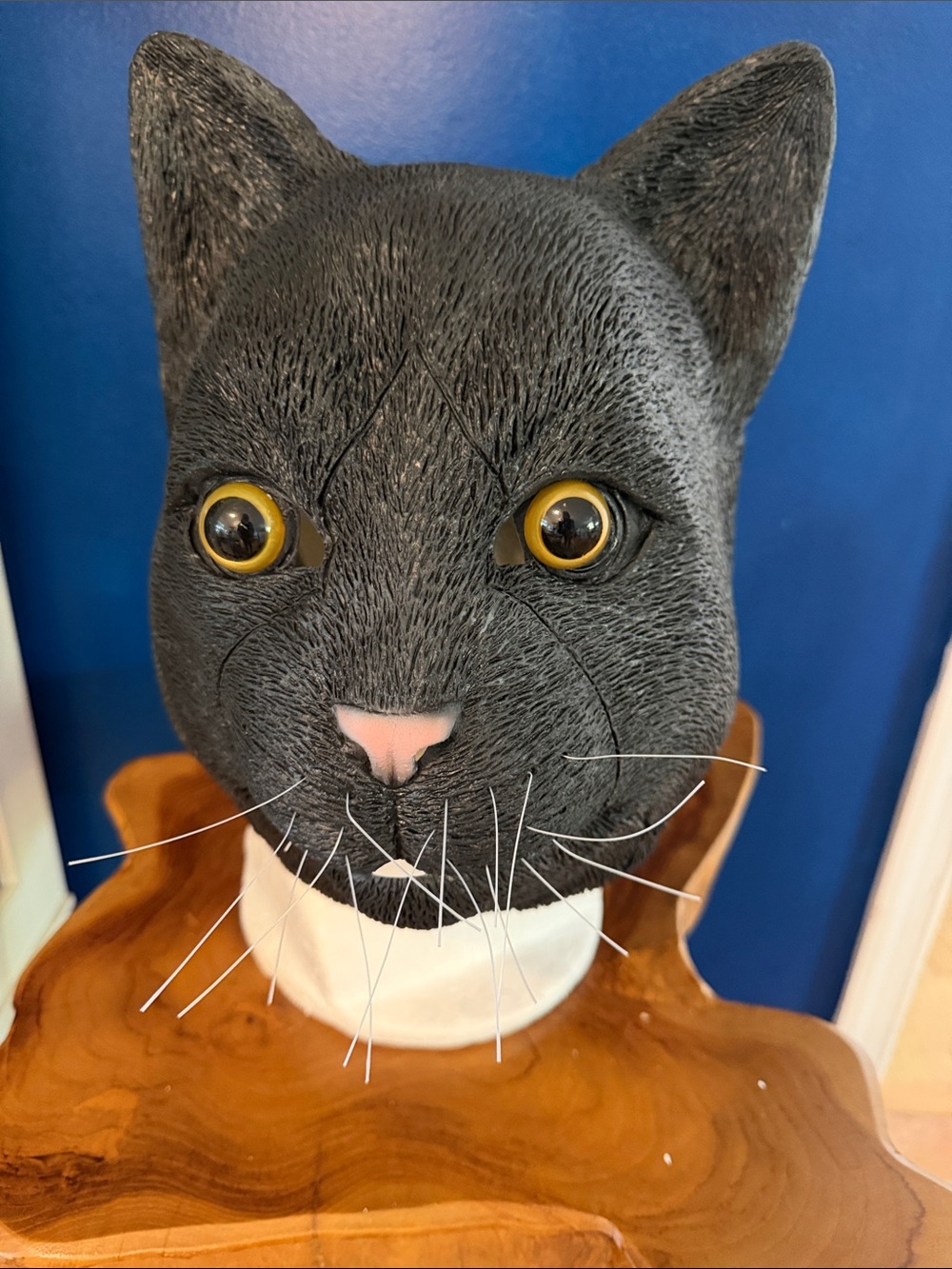 NWOT Latex Animal Black Cat Mask Deluxe Halloween Cosplay Costume Full Head Mask